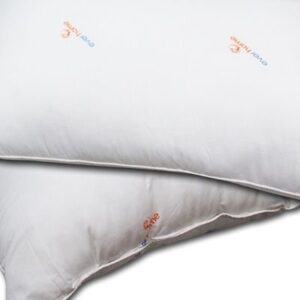 Ruột Gối Everhome