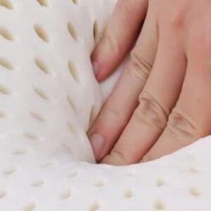 Ruột Gối Everhome