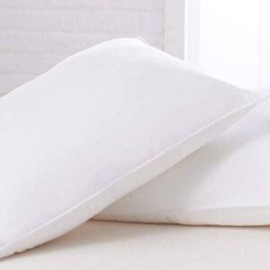 Ruột Gối Everhome